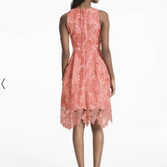 Tonal Lace Fit-And-Flare Dress - Picture 2 of 7